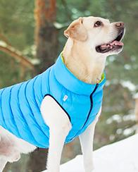 Odzież dla zwierząt